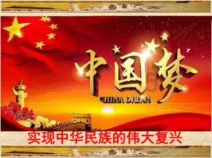 超能动物联盟